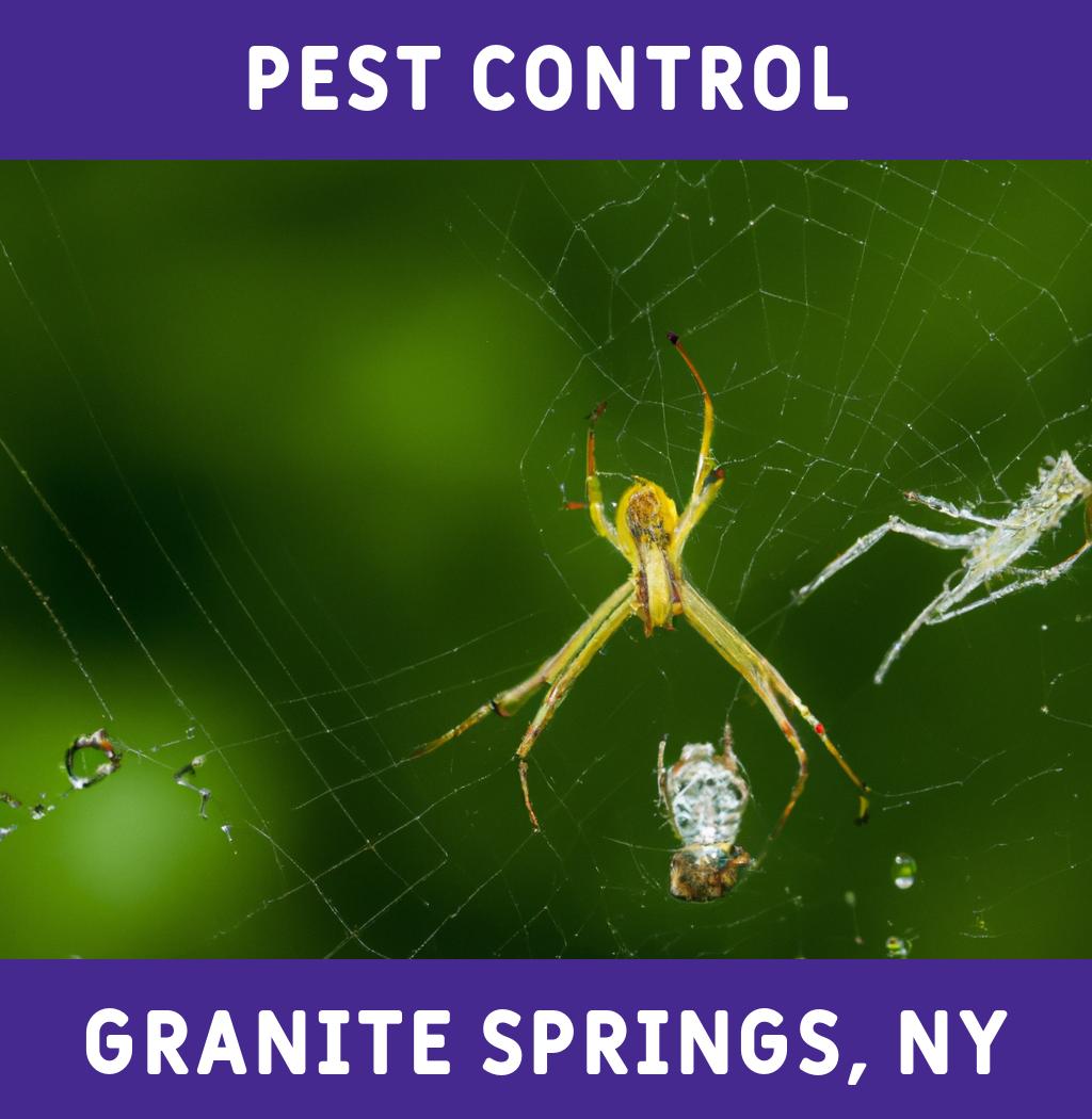 pest control in Granite Springs New York