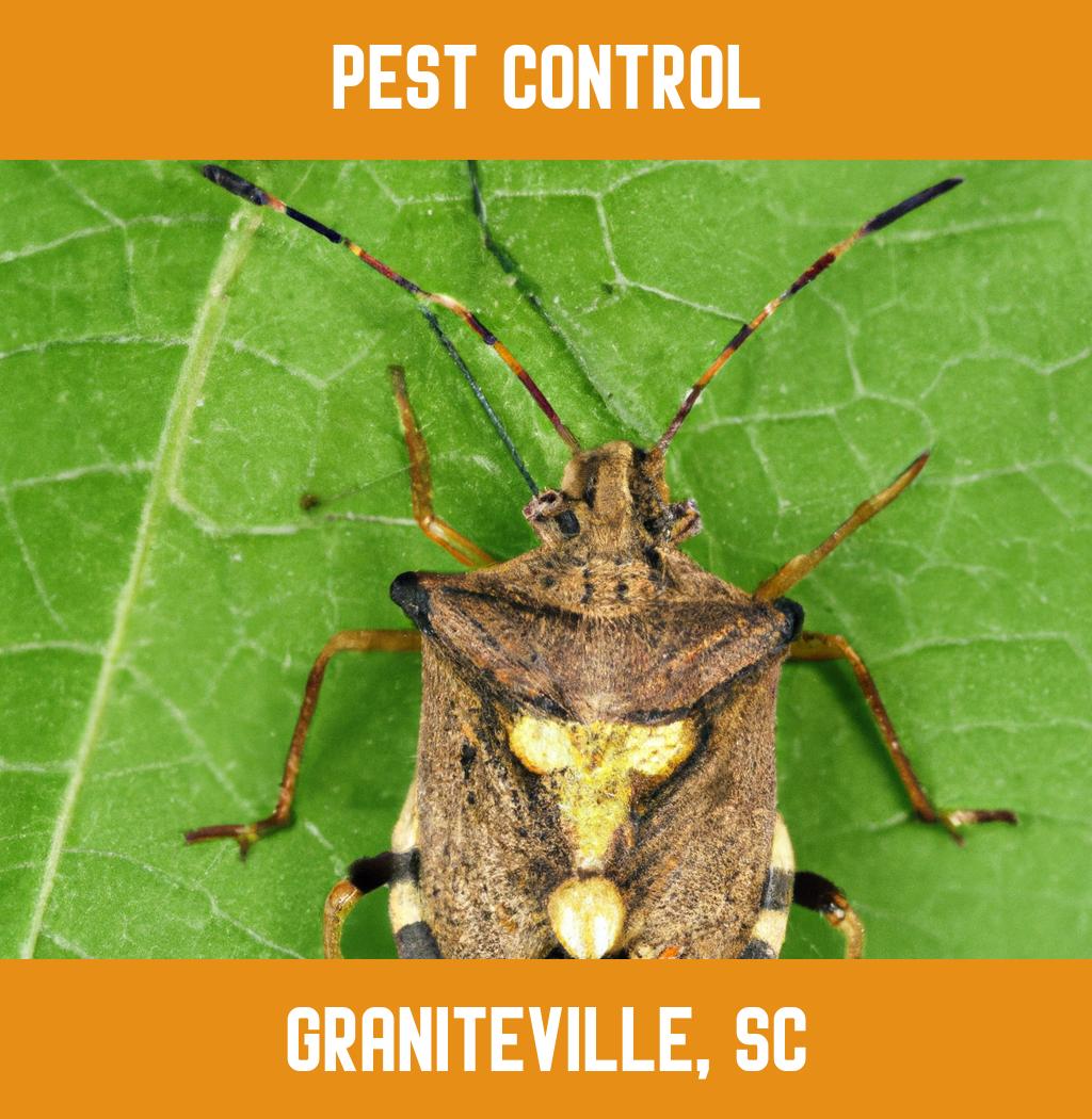pest control in Graniteville South Carolina