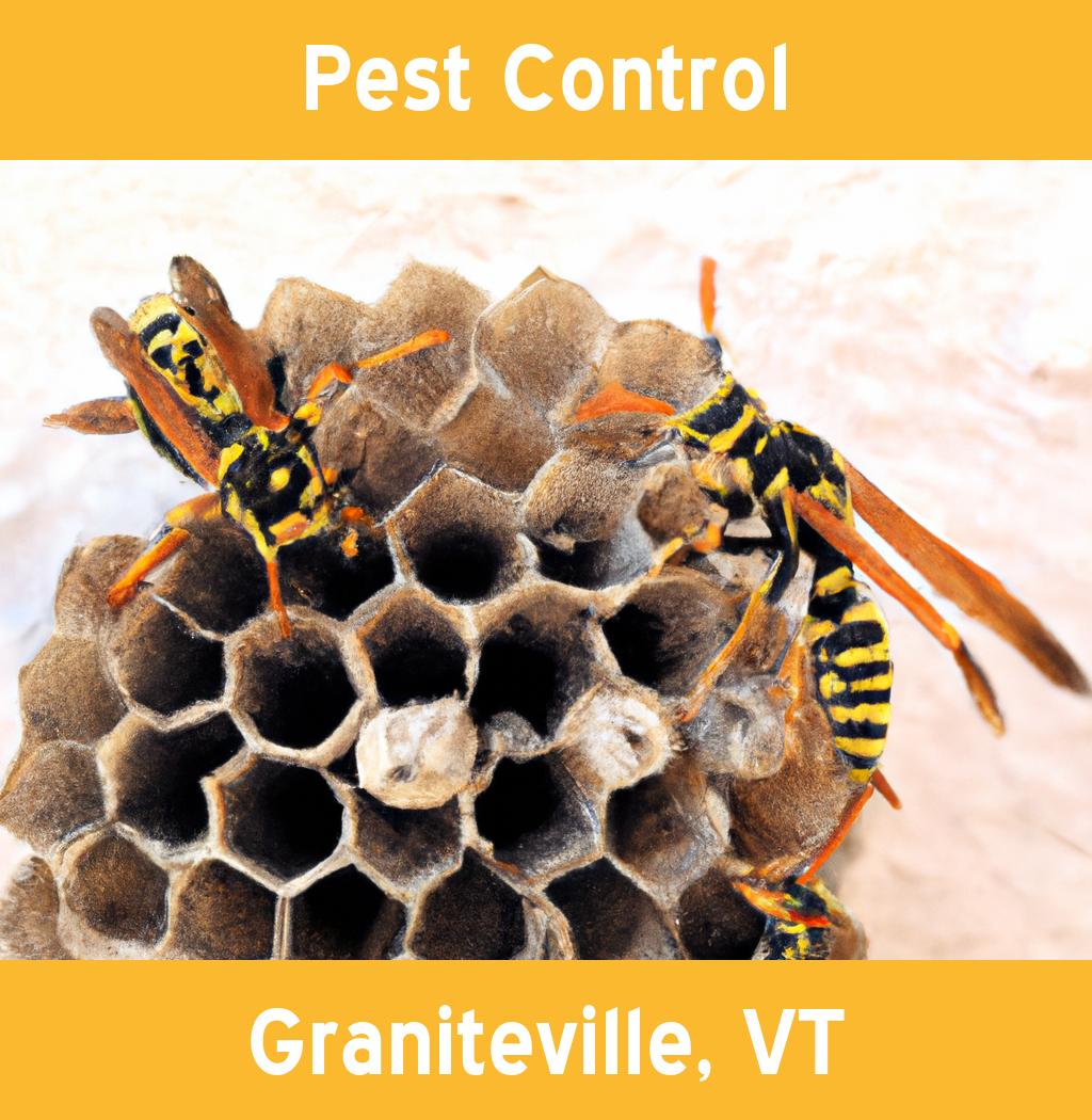 pest control in Graniteville Vermont