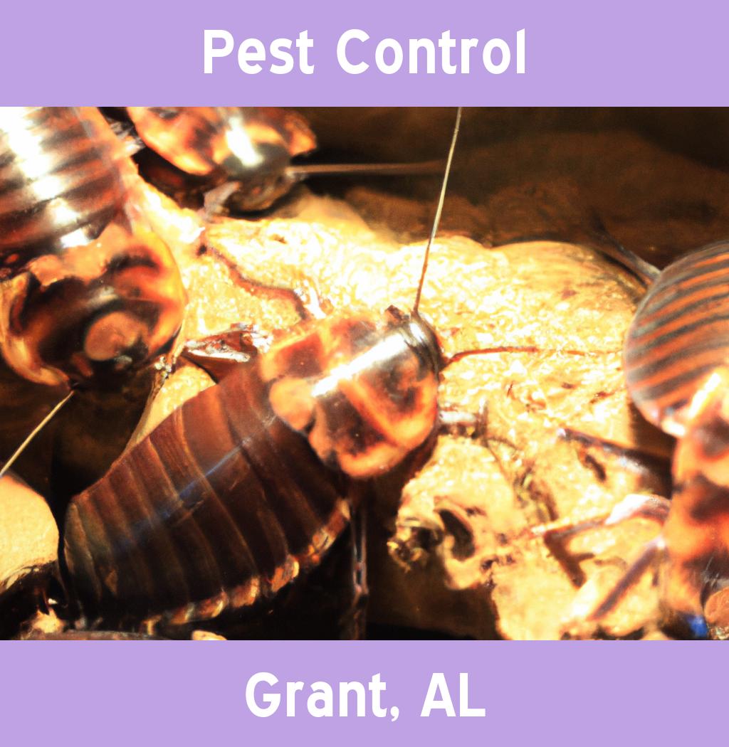 pest control in Grant Alabama