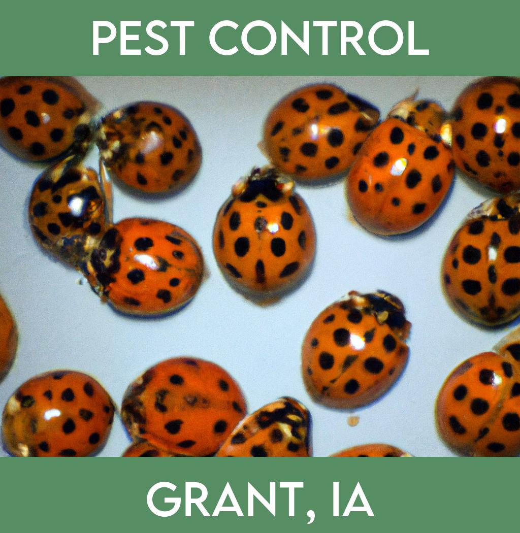 pest control in Grant Iowa