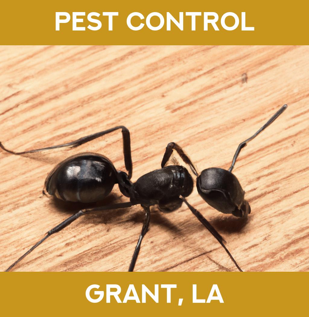 pest control in Grant Louisiana