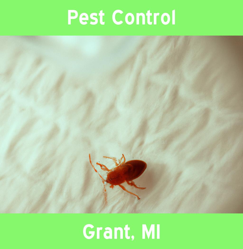 pest control in Grant Michigan