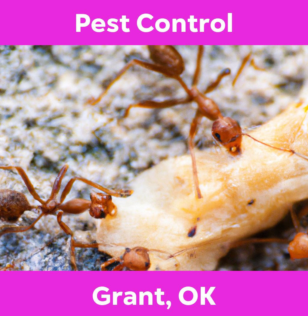 pest control in Grant Oklahoma