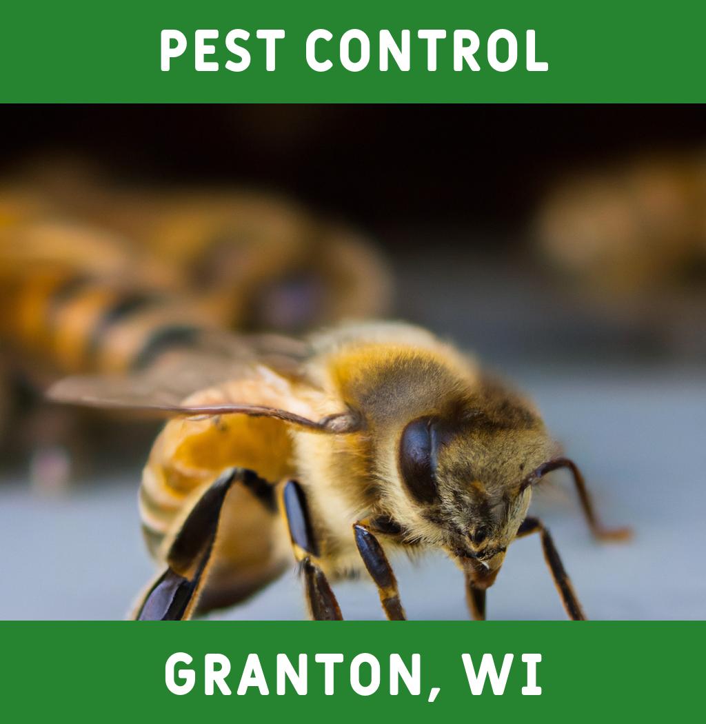 pest control in Granton Wisconsin