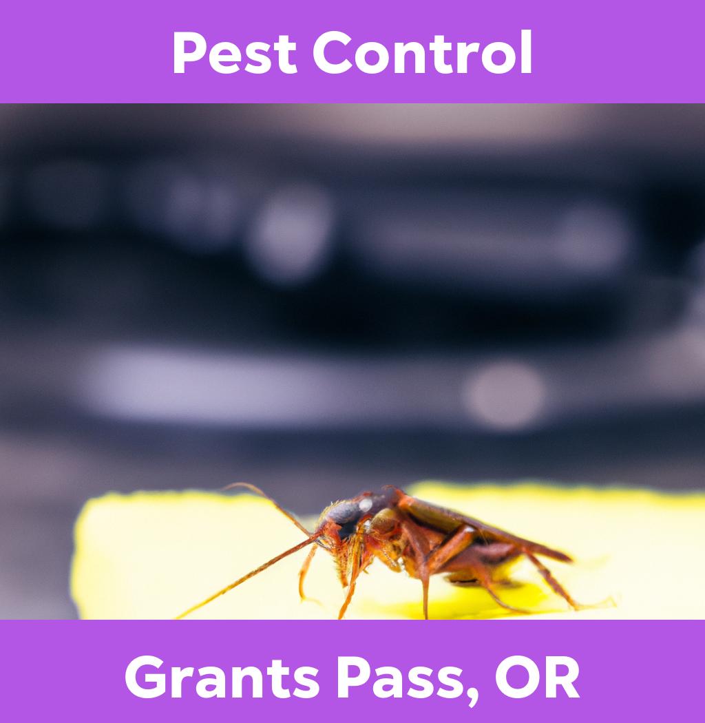 pest control in Grants Pass Oregon