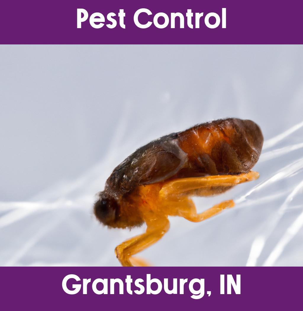 pest control in Grantsburg Indiana