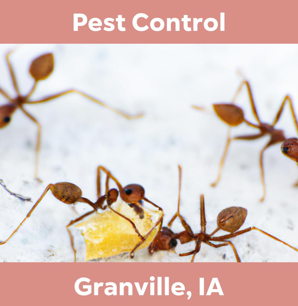 pest control in Granville Iowa