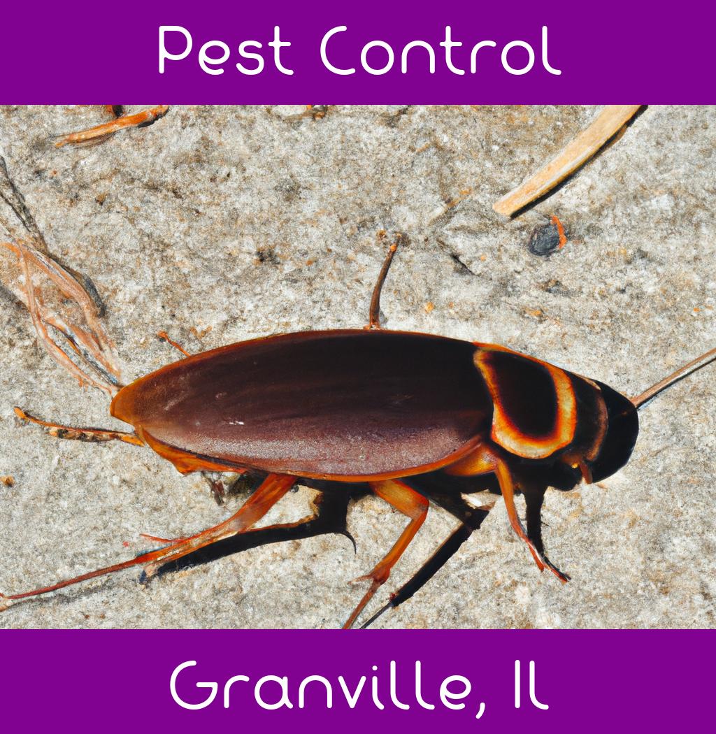 pest control in Granville Illinois