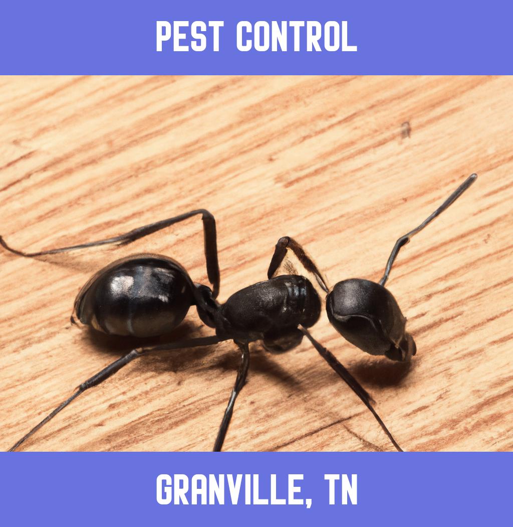 pest control in Granville Tennessee