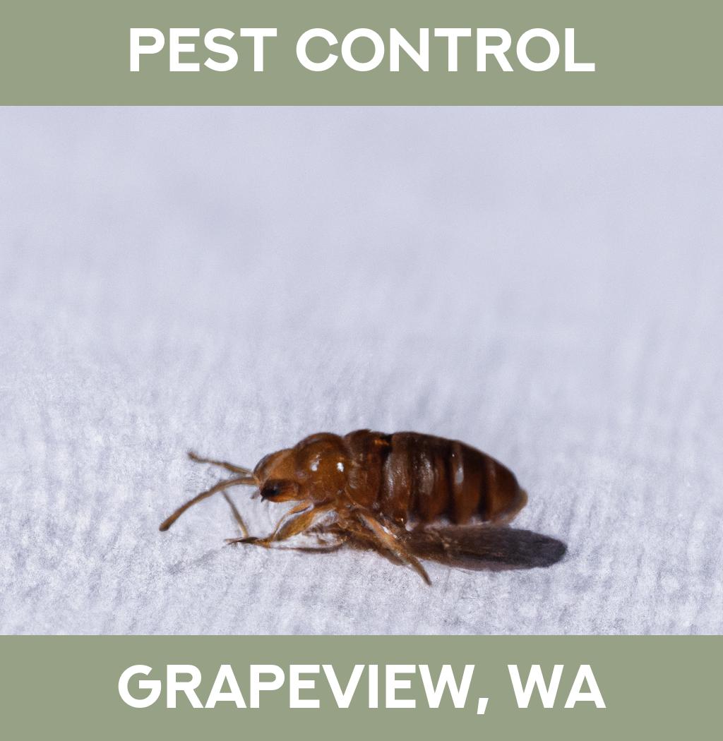 pest control in Grapeview Washington