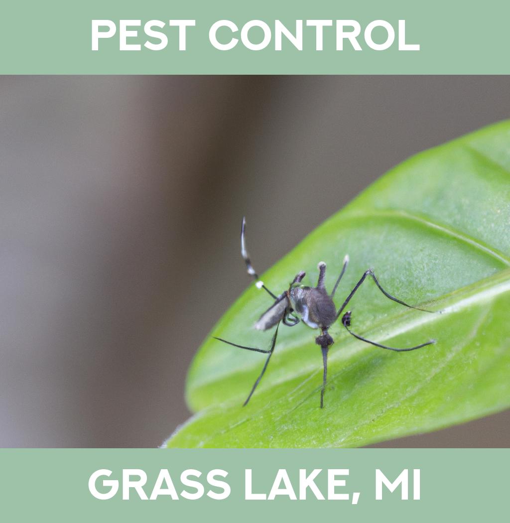 pest control in Grass Lake Michigan