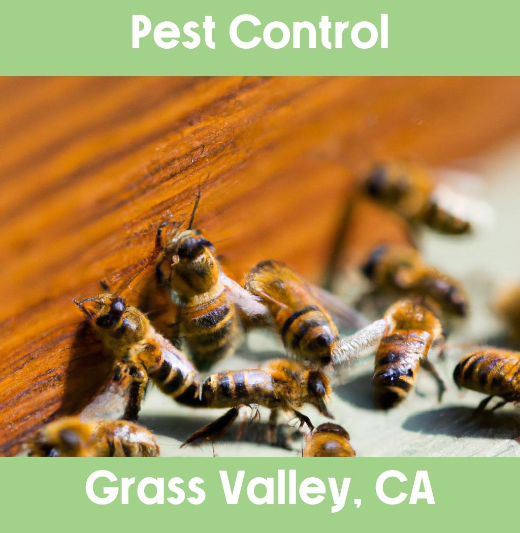 pest control in Grass Valley California