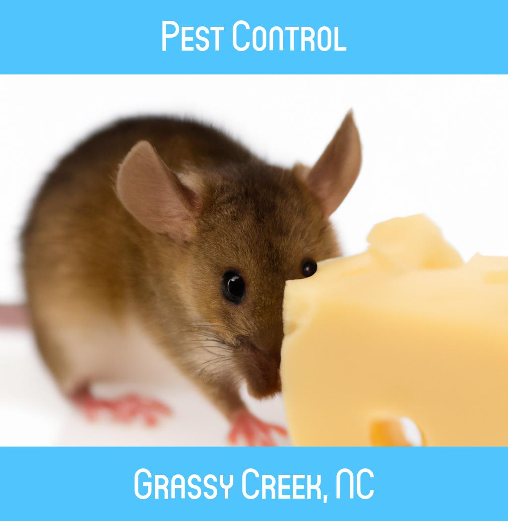 pest control in Grassy Creek North Carolina