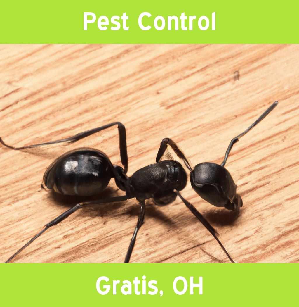 pest control in Gratis Ohio