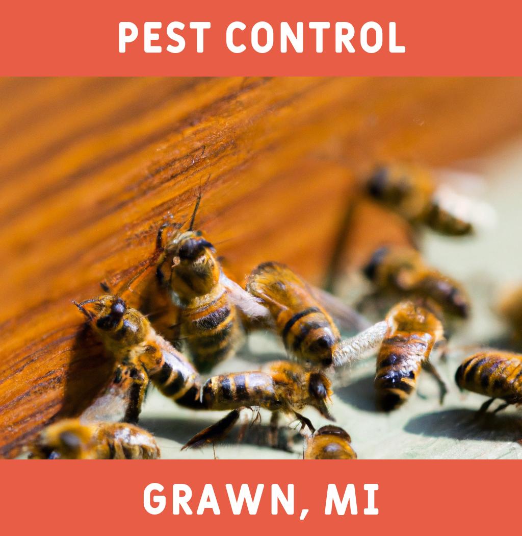 pest control in Grawn Michigan