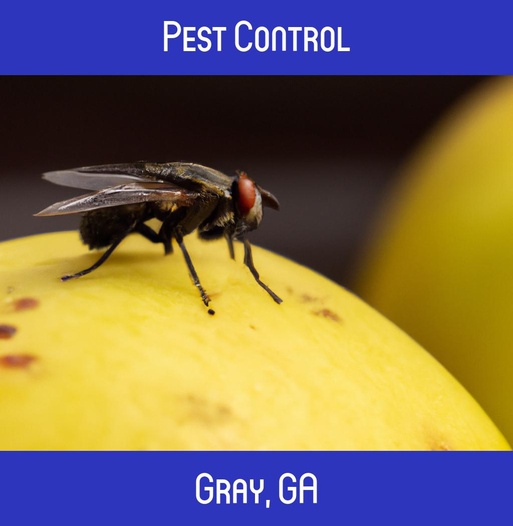 pest control in Gray Georgia