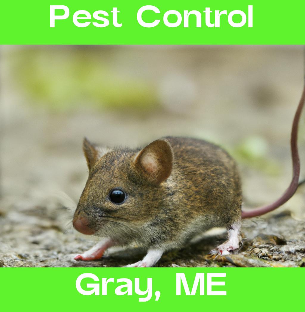 pest control in Gray Maine
