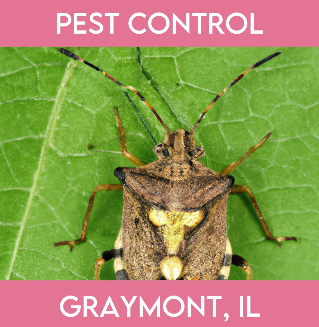 pest control in Graymont Illinois