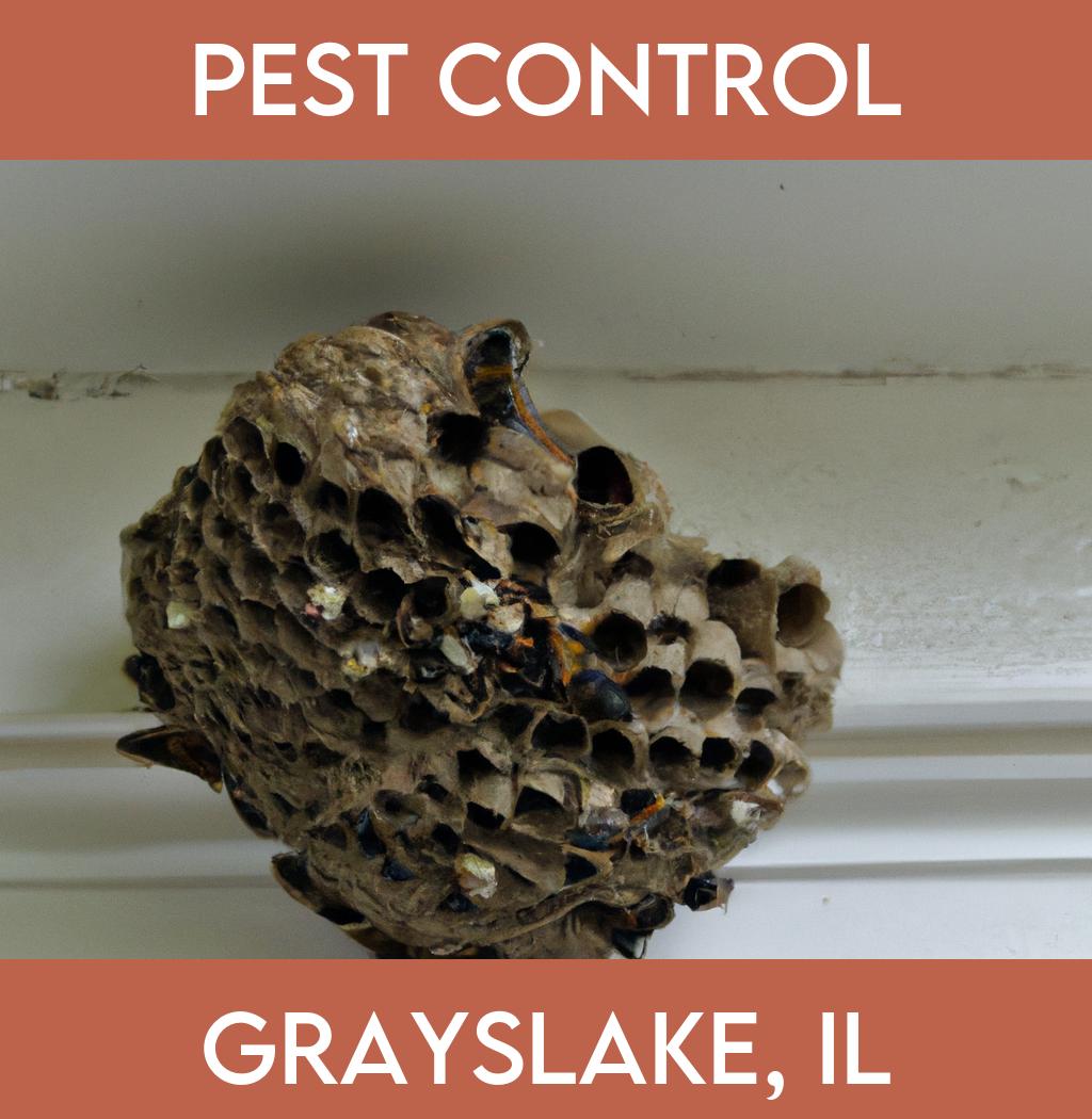 pest control in Grayslake Illinois