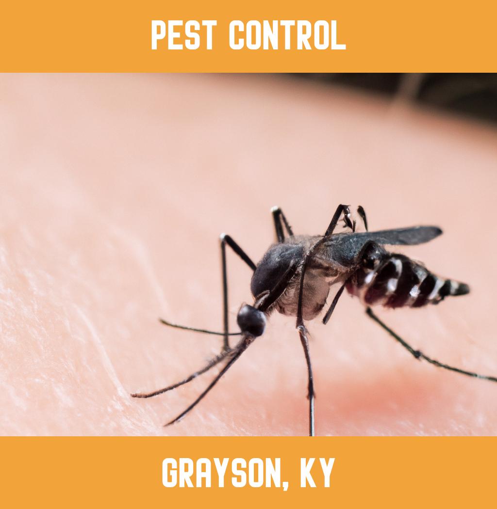 pest control in Grayson Kentucky