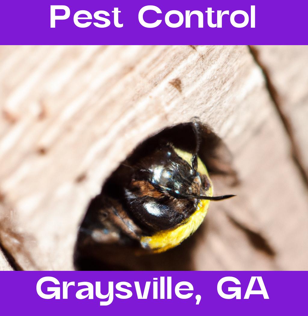 pest control in Graysville Georgia