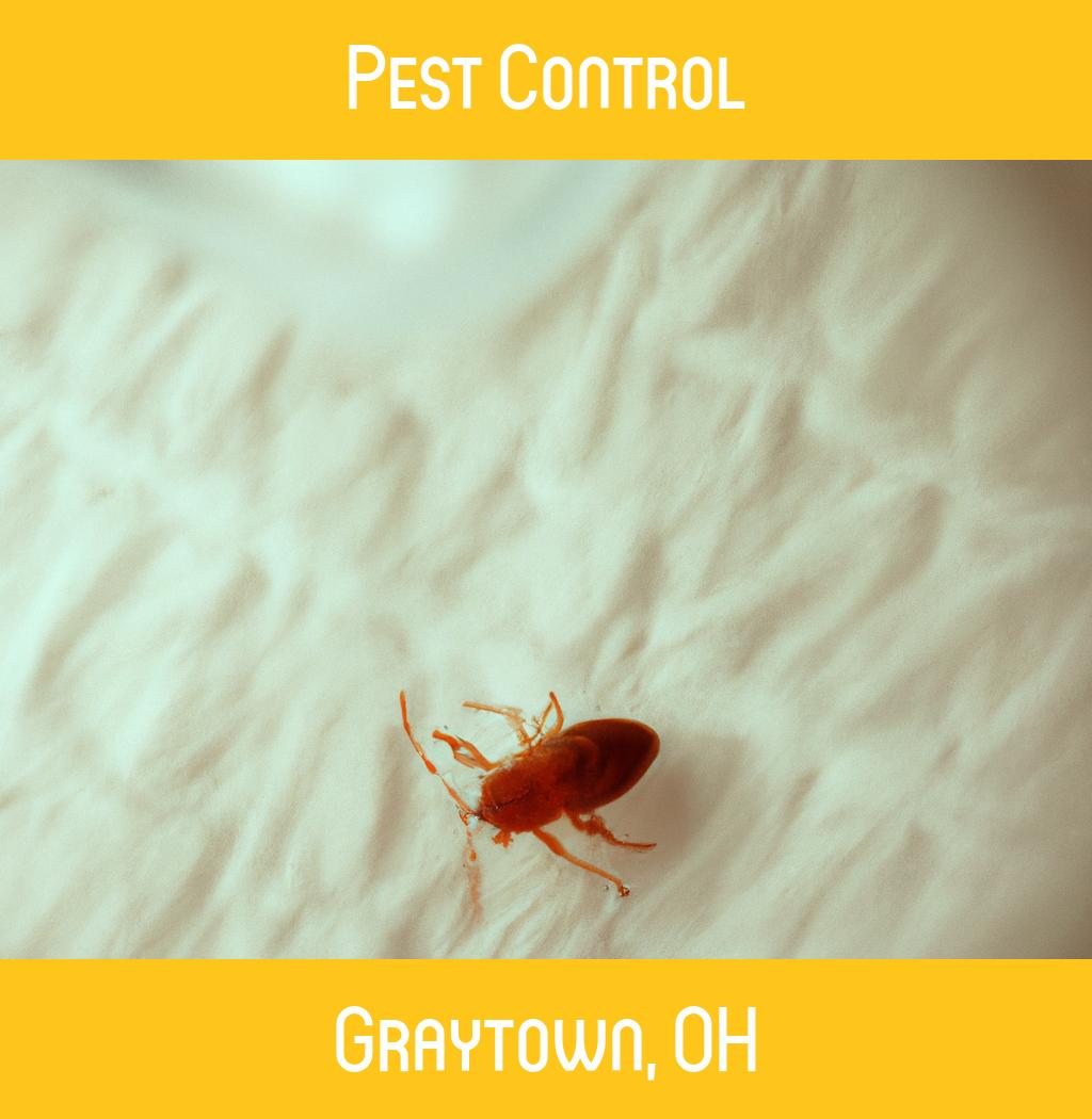 pest control in Graytown Ohio
