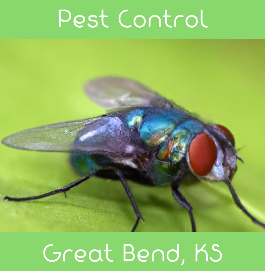 pest control in Great Bend Kansas