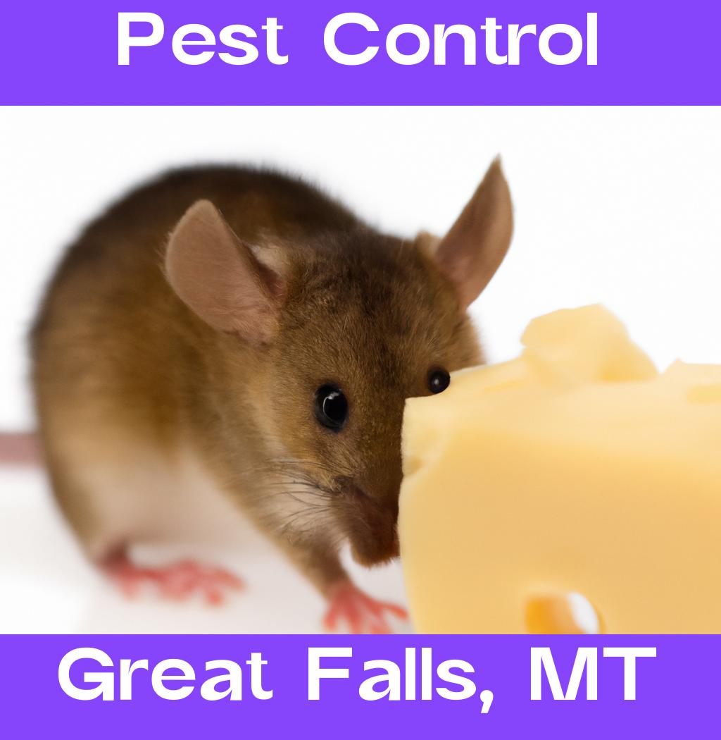 pest control in Great Falls Montana