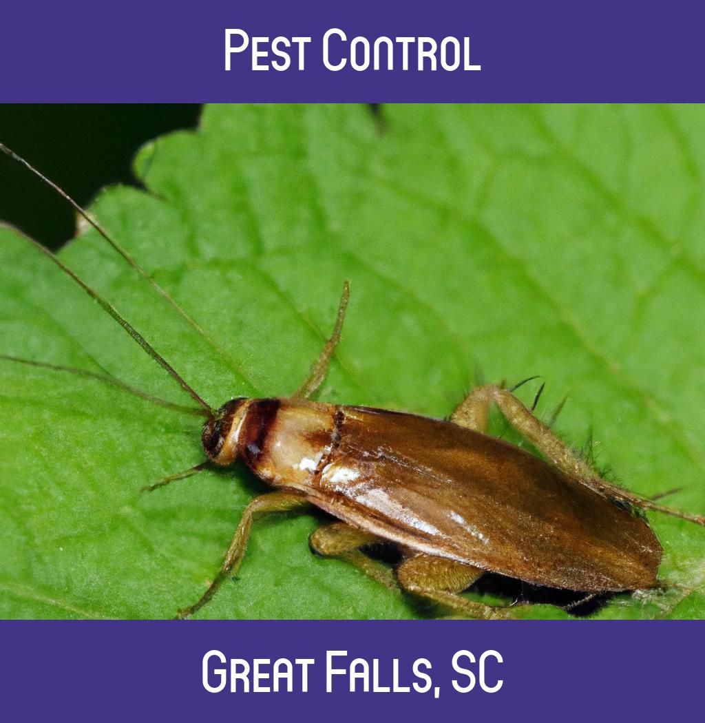pest control in Great Falls South Carolina