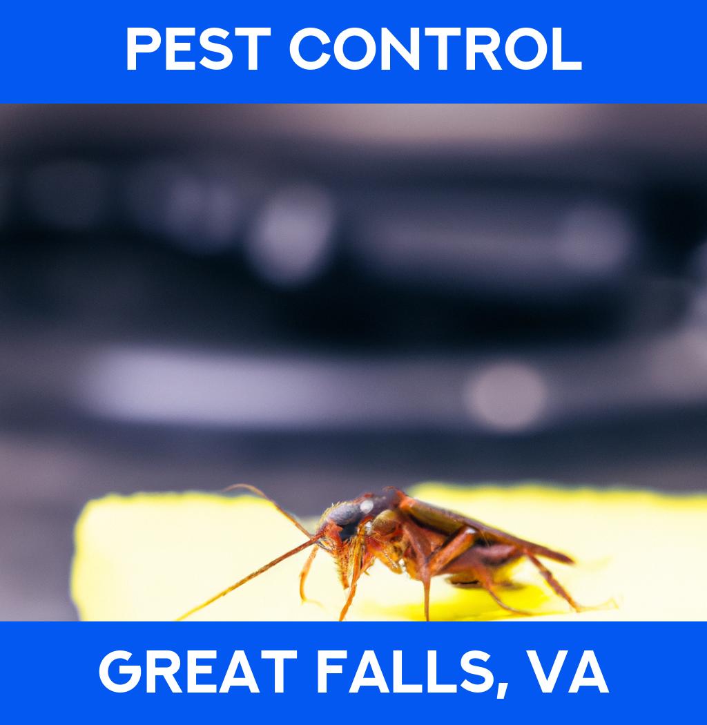 pest control in Great Falls Virginia