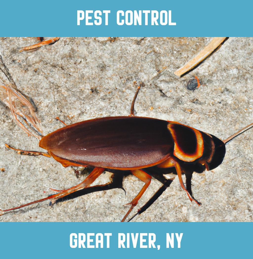pest control in Great River New York