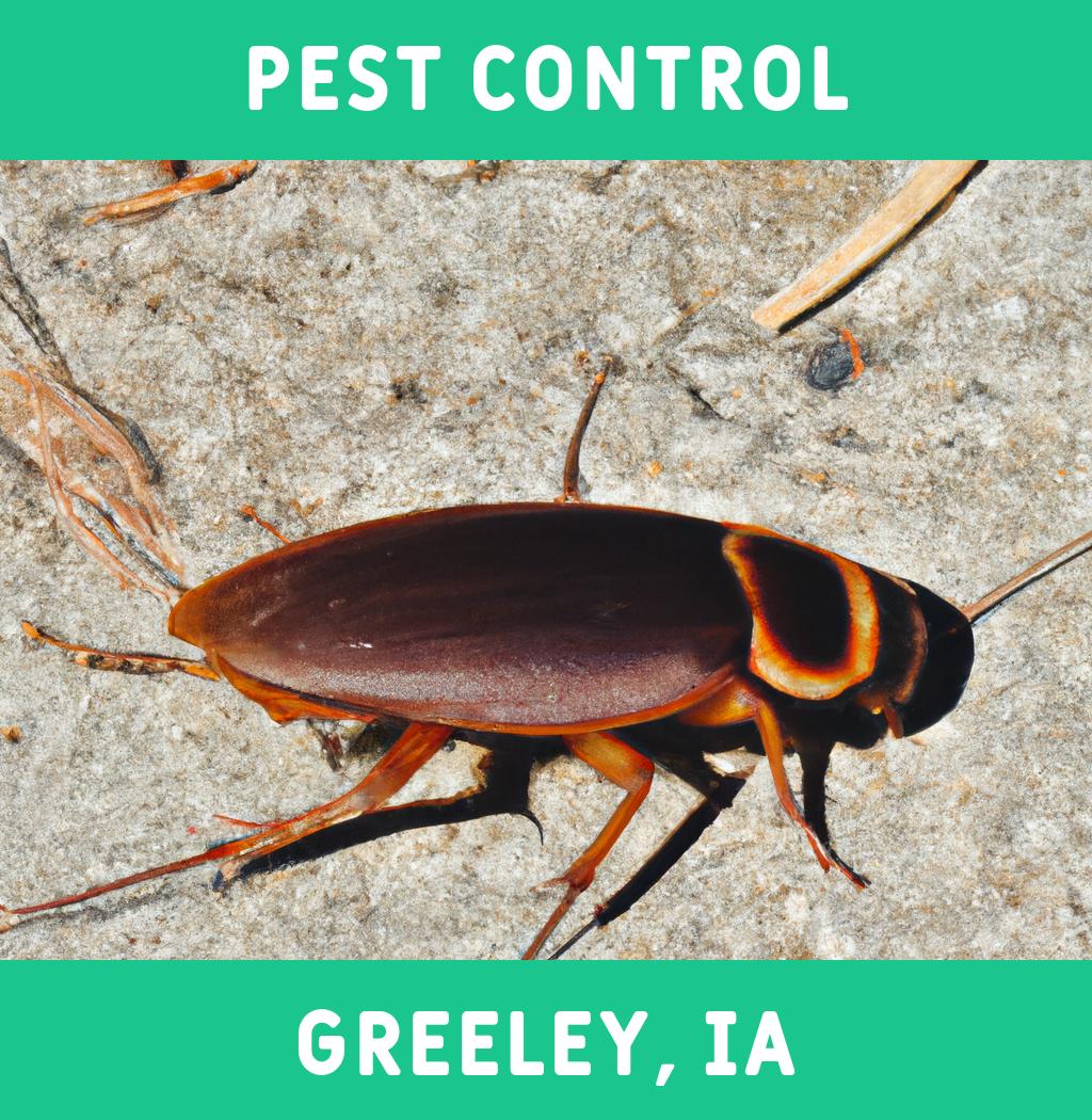 pest control in Greeley Iowa
