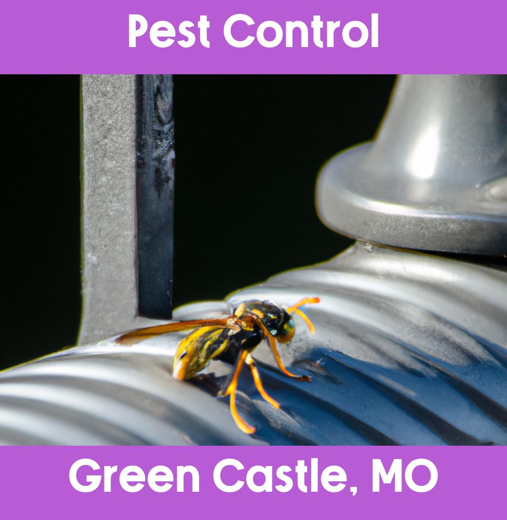 pest control in Green Castle Missouri