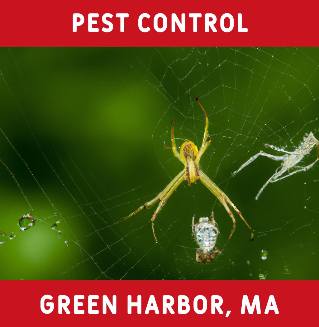 pest control in Green Harbor Massachusetts