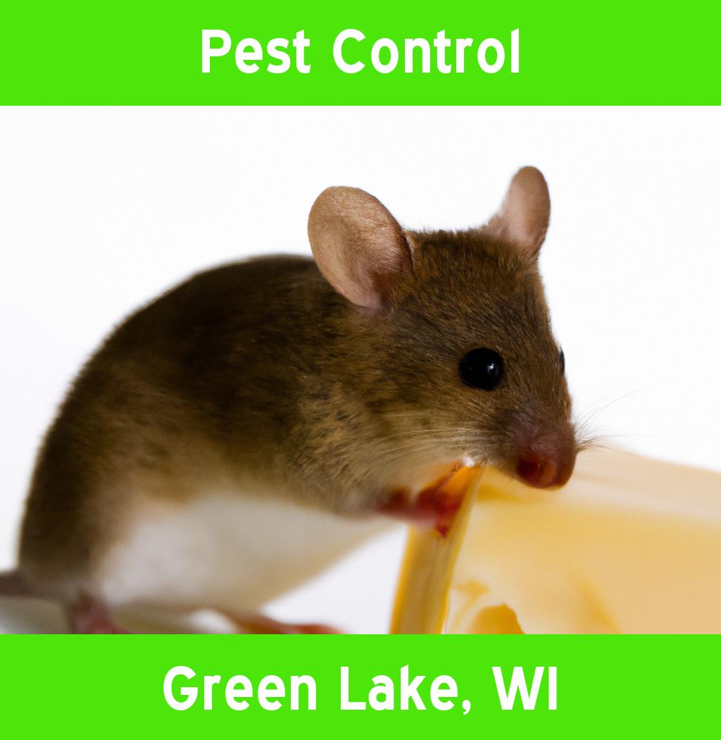 pest control in Green Lake Wisconsin