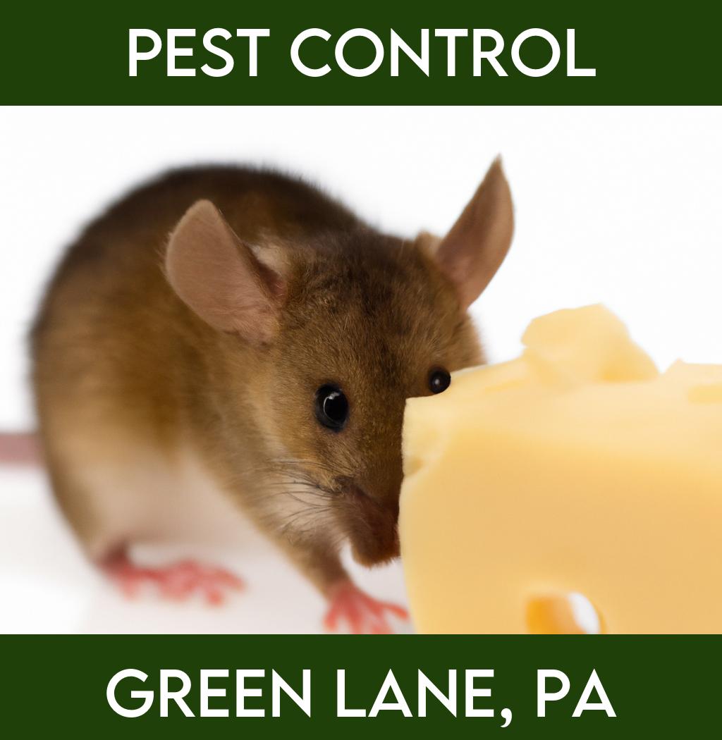 pest control in Green Lane Pennsylvania