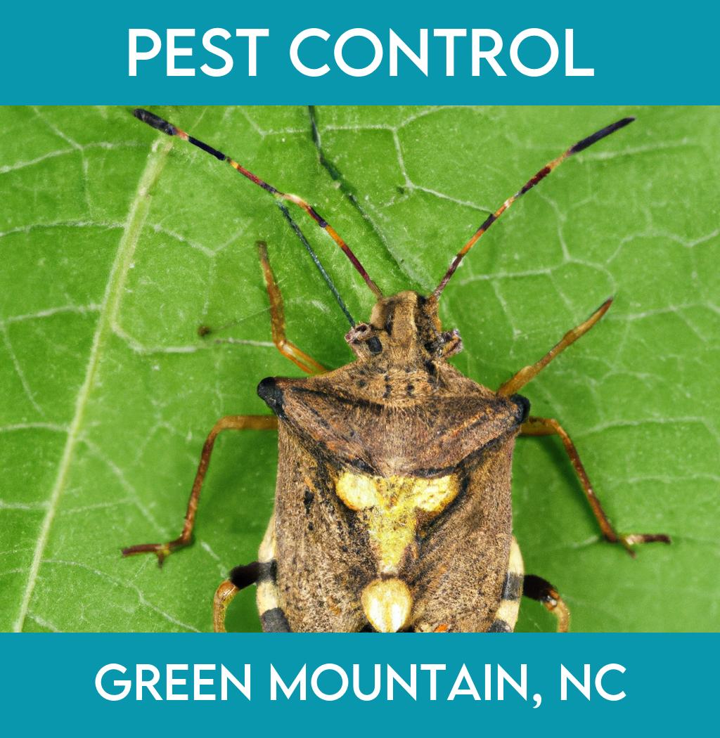 pest control in Green Mountain North Carolina