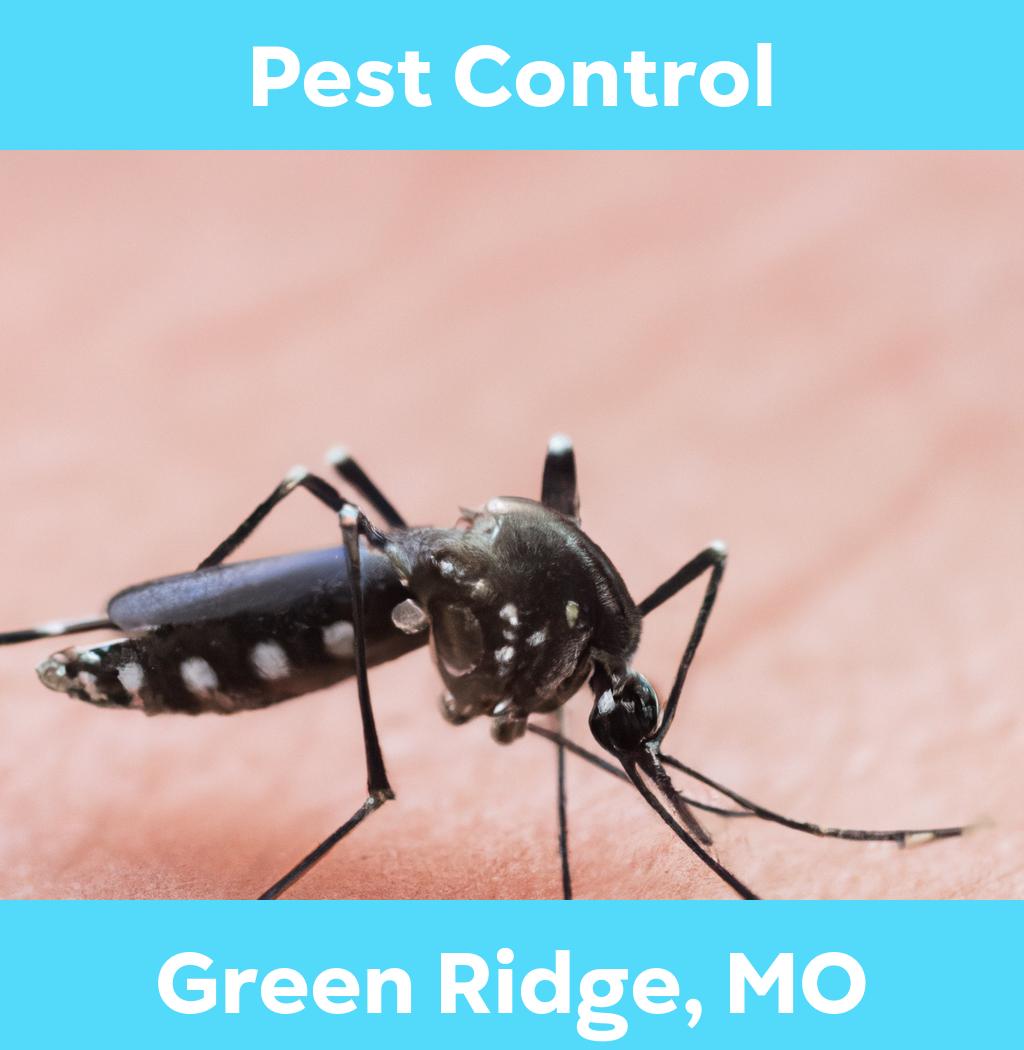 pest control in Green Ridge Missouri