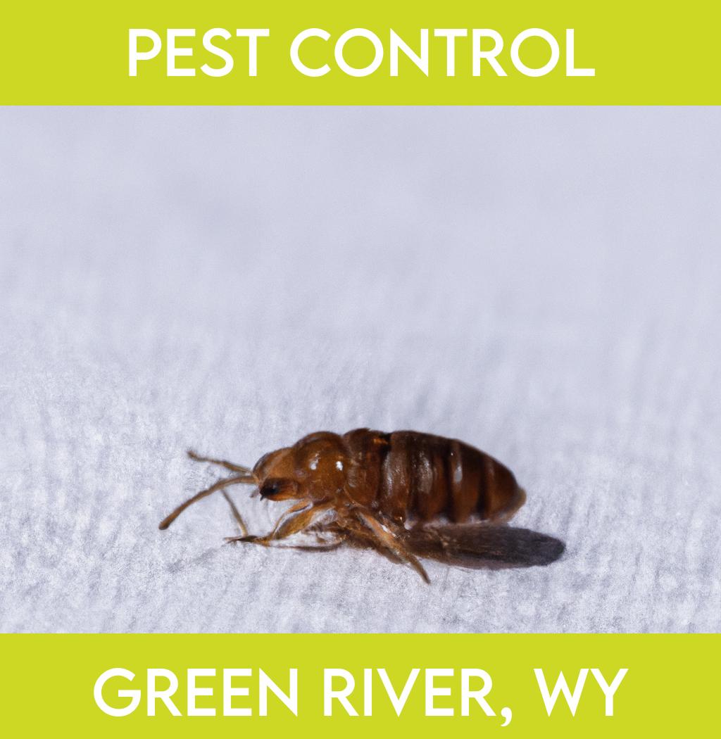 pest control in Green River Wyoming