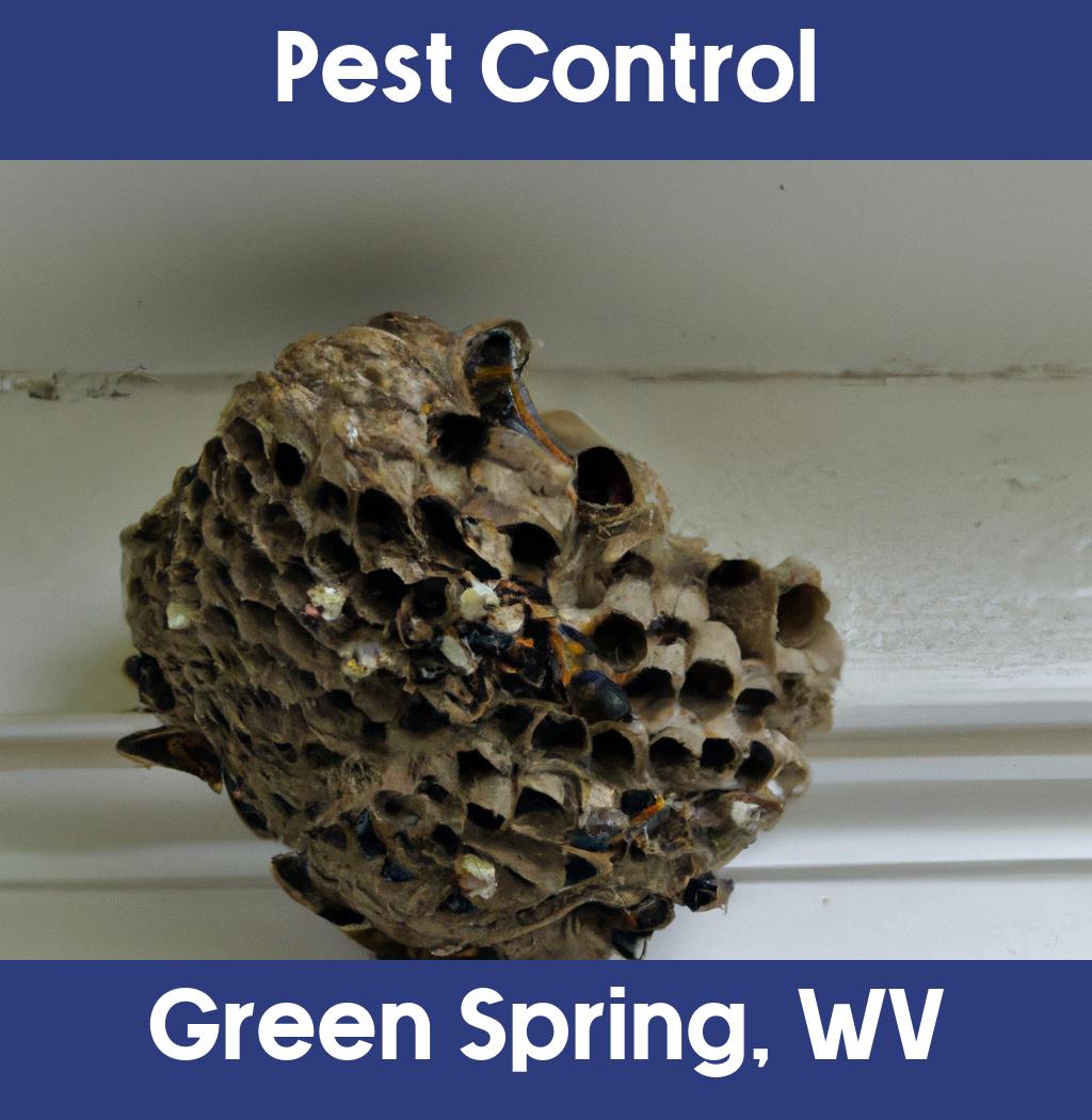 pest control in Green Spring West Virginia