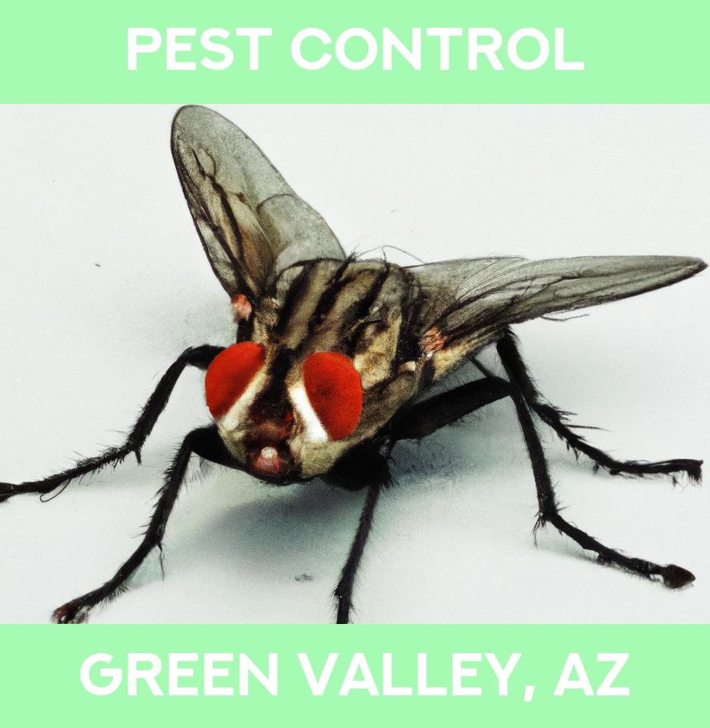 pest control in Green Valley Arizona