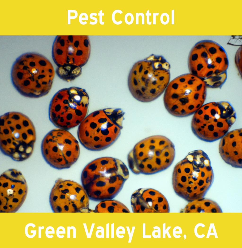 pest control in Green Valley Lake California