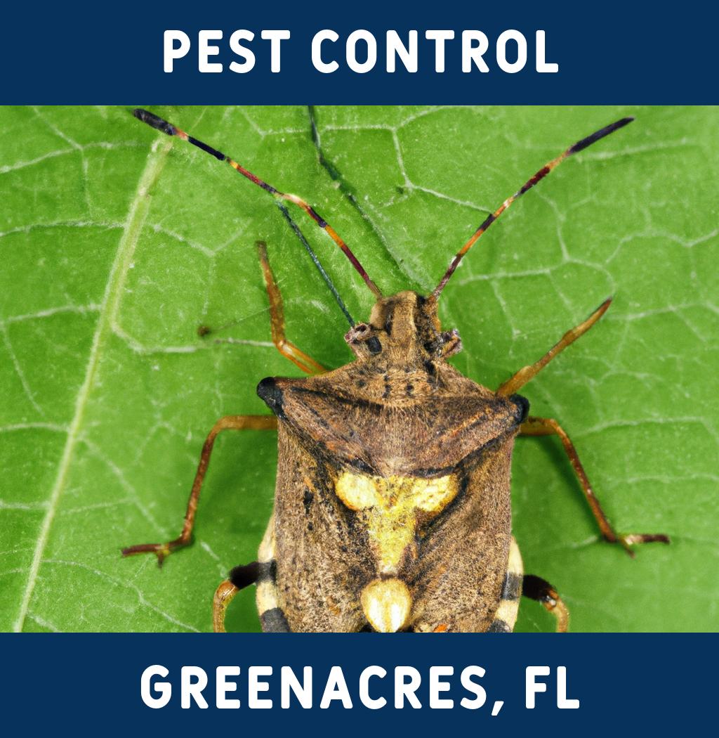 pest control in Greenacres Florida