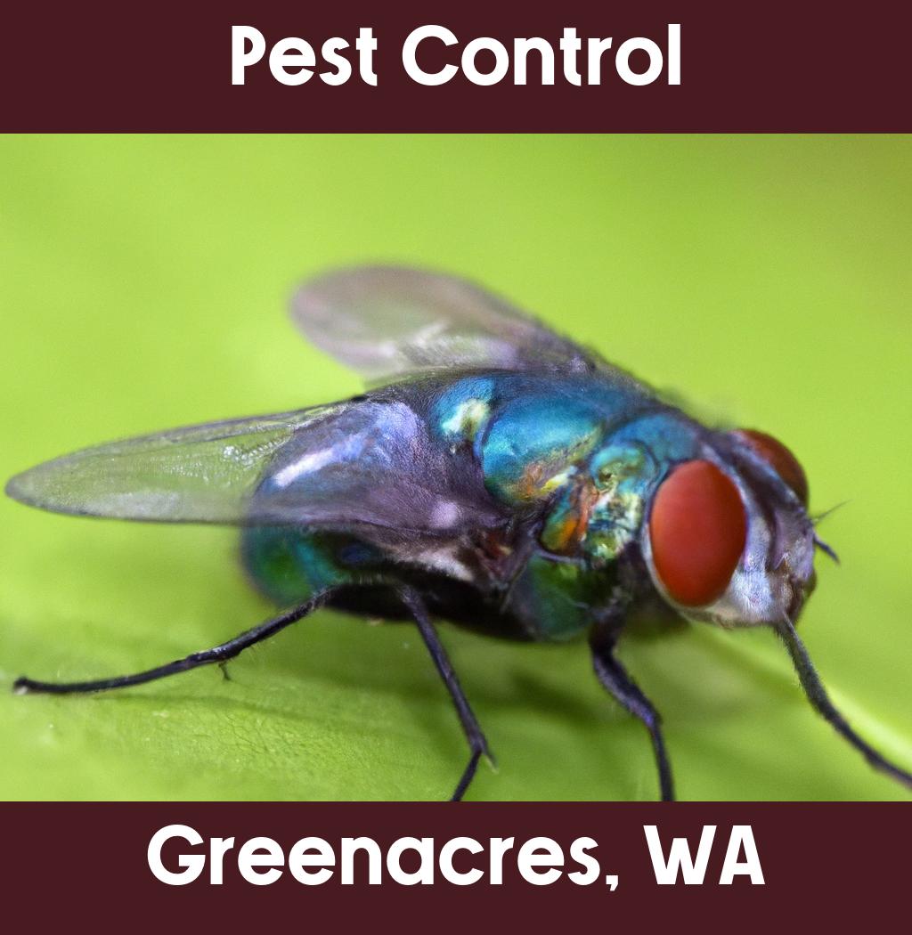 pest control in Greenacres Washington