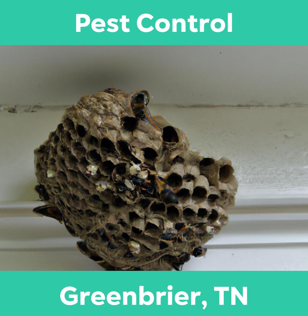 pest control in Greenbrier Tennessee