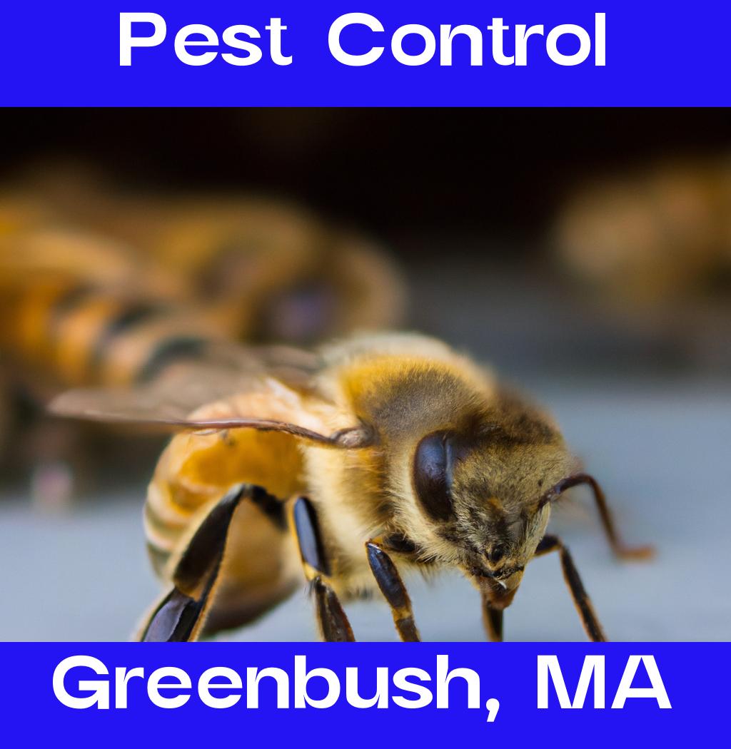 pest control in Greenbush Massachusetts