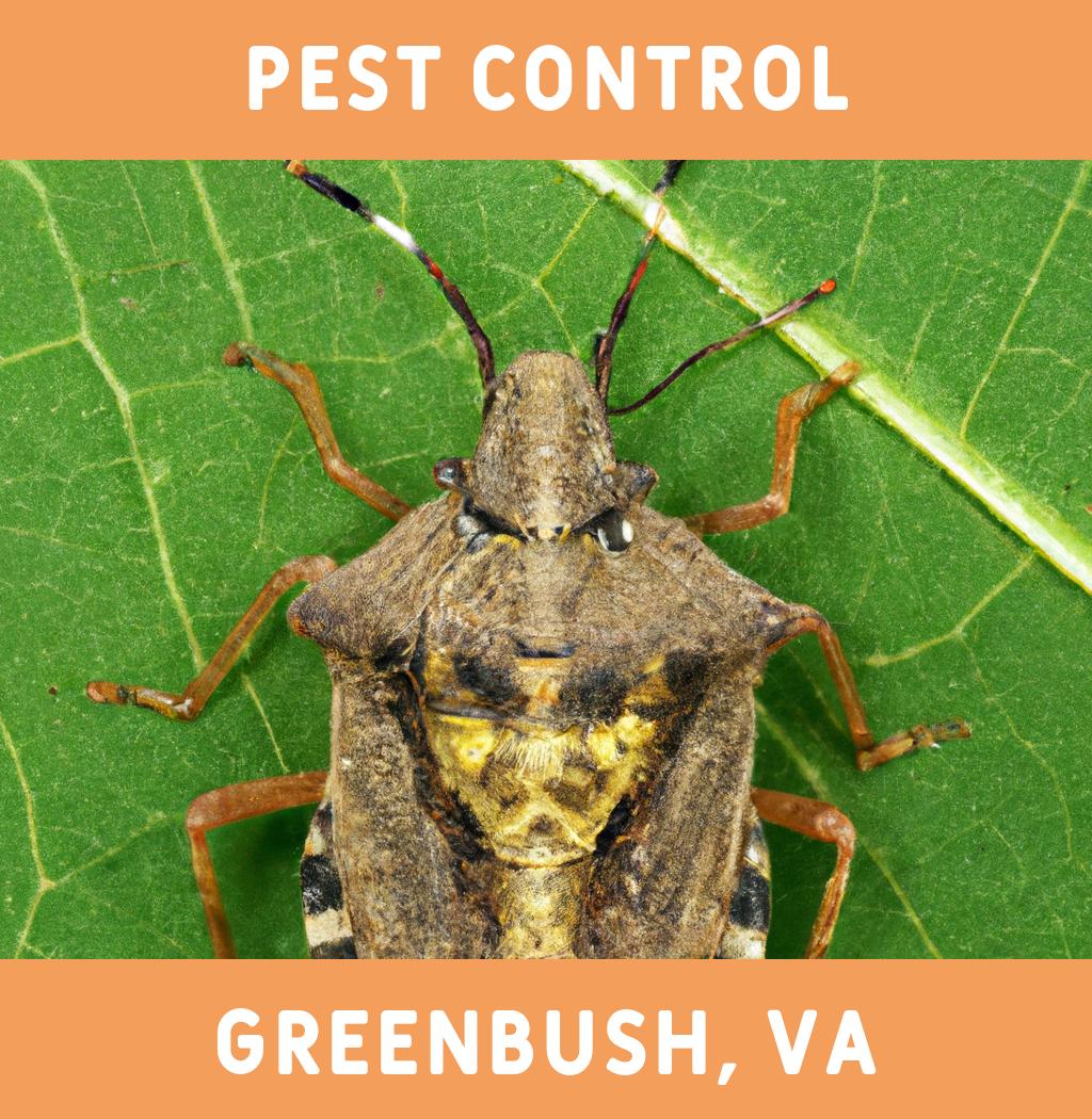 pest control in Greenbush Virginia