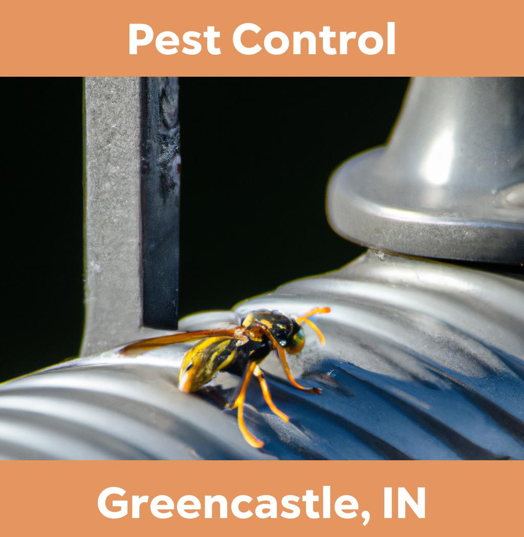 pest control in Greencastle Indiana