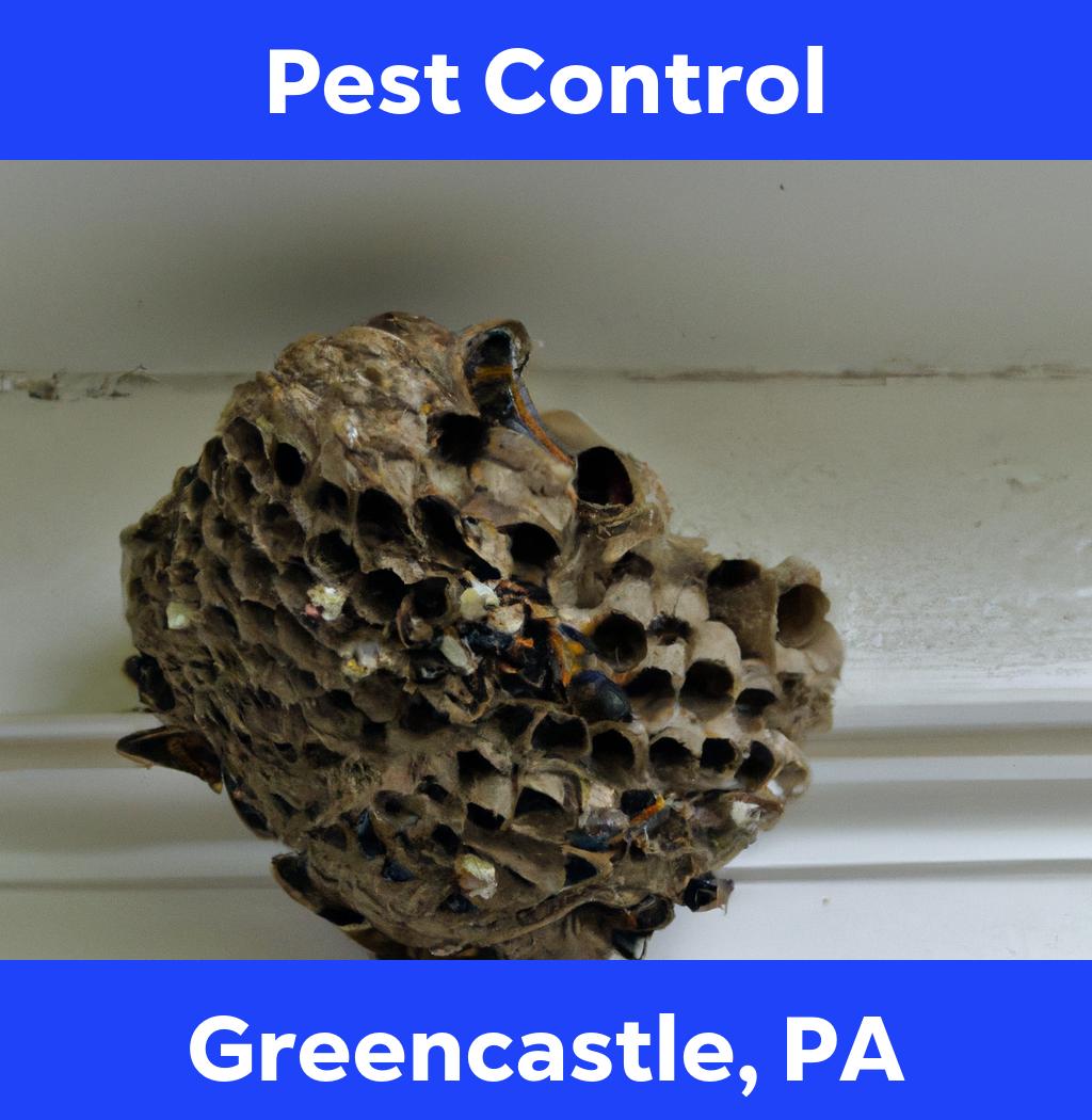 pest control in Greencastle Pennsylvania